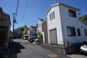 センチュリータウン 新田辺 Ⅷ